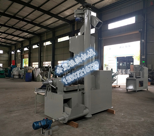 1571020733670423.jpg 水印2.jpg